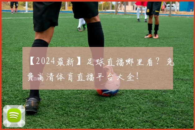 【2024最新】足球直播哪里看?免费高清体育直播平台大全!